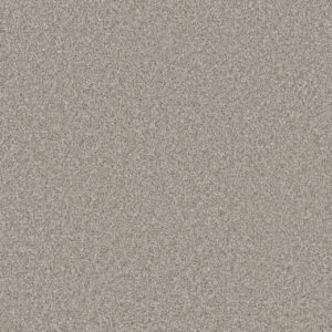 Dreamweaver Carpet Cosmopolitan II Porcelain Carpet 8550_486