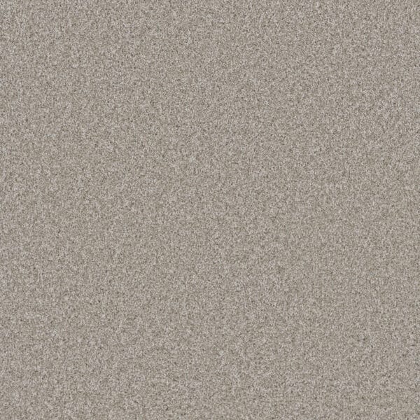 Dreamweaver Carpet Cosmopolitan II Porcelain Carpet 8550_486