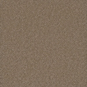 Dreamweaver Carpet Cosmopolitan II Straw Carpet 8550_551