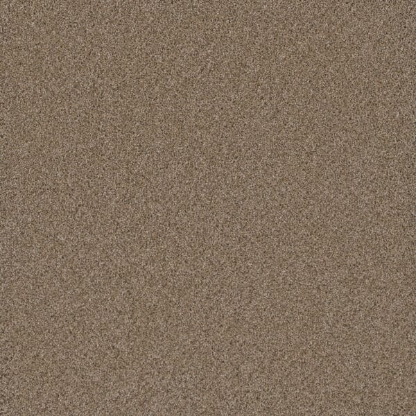 Dreamweaver Carpet Cosmopolitan II Straw Carpet 8550_551