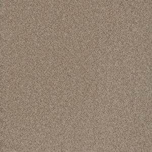 Dreamweaver Carpet Cosmopolitan II Oxford Carpet 8550_720