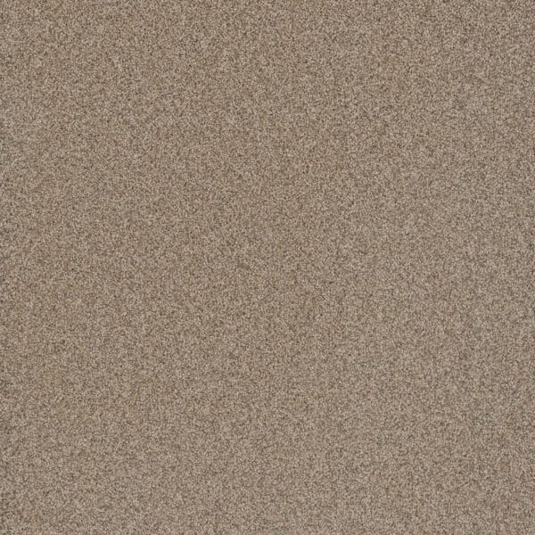 Dreamweaver Carpet Cosmopolitan II Oxford Carpet 8550_720