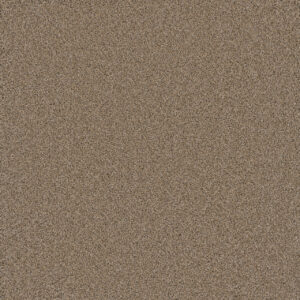 Dreamweaver Carpet Cosmopolitan II Ginger Carpet 8550_726