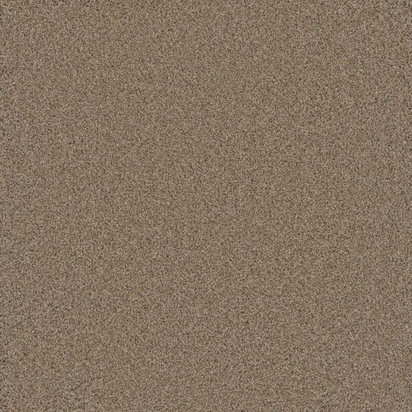 Dreamweaver Carpet Cosmopolitan II Ginger Carpet 8550_726