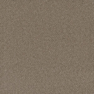 Dreamweaver Carpet Cosmopolitan II Mocha Carpet 8550_775