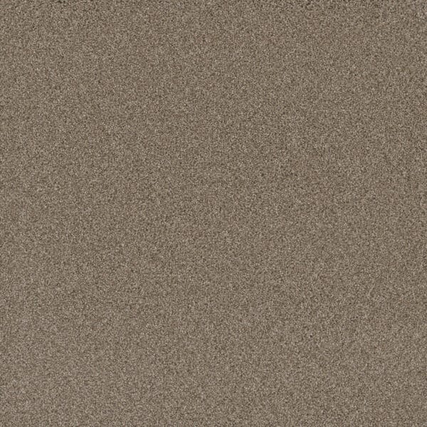 Dreamweaver Carpet Cosmopolitan II Mocha Carpet 8550_775