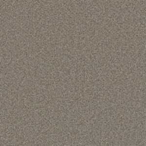 Dreamweaver Carpet Cosmopolitan II Iron Frost Carpet 8550_815