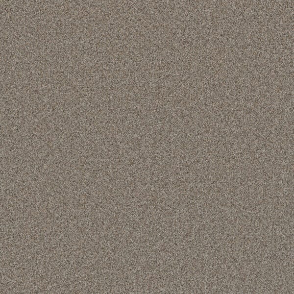 Dreamweaver Carpet Cosmopolitan II Iron Frost Carpet 8550_815