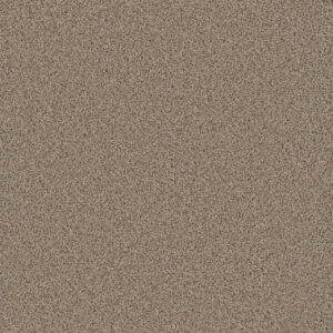 Dreamweaver Carpet Cosmopolitan II Linen Carpet 8550_824