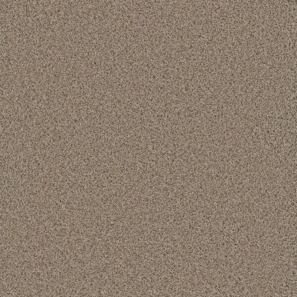 Dreamweaver Carpet Cosmopolitan II Linen Carpet 8550_824