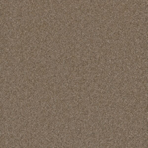 Dreamweaver Carpet Cosmopolitan II Wicker Carpet 8550_825