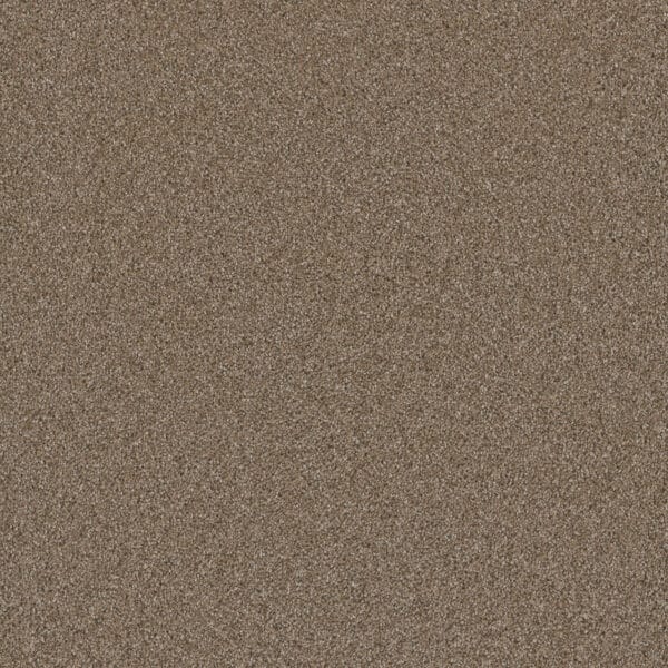 Dreamweaver Carpet Cosmopolitan II Wicker Carpet 8550_825