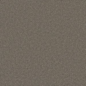Dreamweaver Carpet Cosmopolitan II Shadows Carpet 8550_826