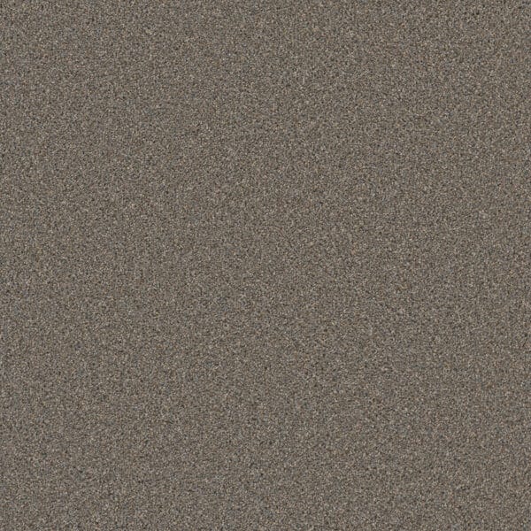 Dreamweaver Carpet Cosmopolitan II Shadows Carpet 8550_826