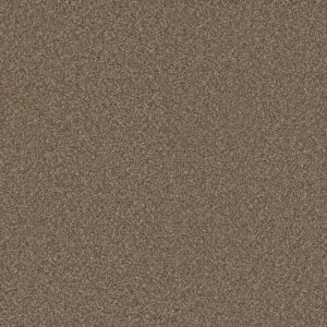 Dreamweaver Carpet Cosmopolitan II Acorn Carpet 8550_858