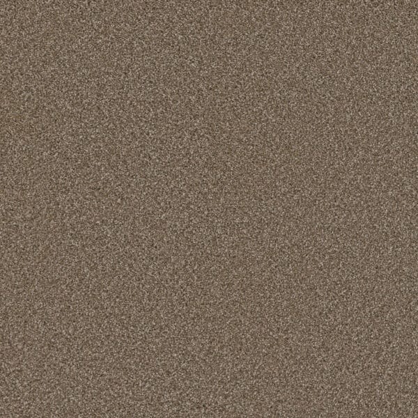 Dreamweaver Carpet Cosmopolitan II Acorn Carpet 8550_858
