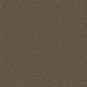 Dreamweaver Carpet Cosmopolitan II Wynwood Carpet 8550_874