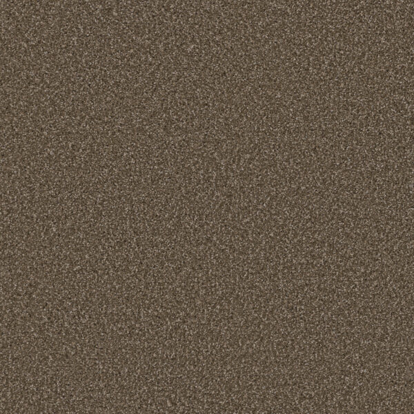 Dreamweaver Carpet Cosmopolitan II Wynwood Carpet 8550_874