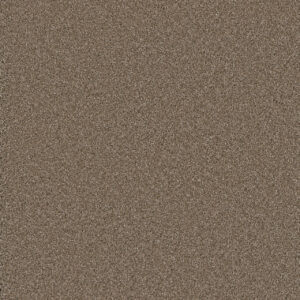 Dreamweaver Carpet Cosmopolitan II Tumbleweed Carpet 8550_883