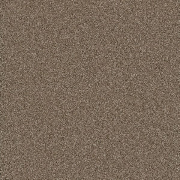 Dreamweaver Carpet Cosmopolitan II Tumbleweed Carpet 8550_883