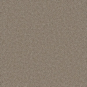 Dreamweaver Carpet Cosmopolitan II Stucco Carpet 8550_905