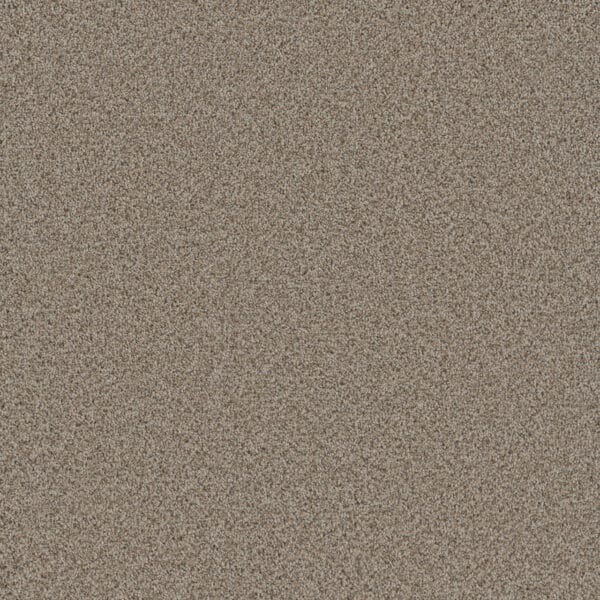 Dreamweaver Carpet Cosmopolitan II Stucco Carpet 8550_905