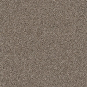 Dreamweaver Carpet Cosmopolitan II Ash Carpet 8550_945
