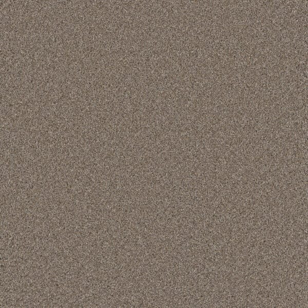 Dreamweaver Carpet Cosmopolitan II Ash Carpet 8550_945