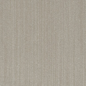 Dreamweaver Carpet DW Select Aberdeen Bon Accord Carpet 8630_3912