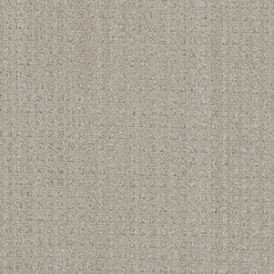 Dreamweaver Carpet DW Select Dublin Chevoit Carpet 8631_3912