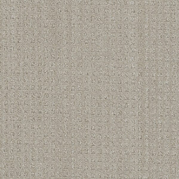 Dreamweaver Carpet DW Select Dublin Chevoit Carpet 8631_3912