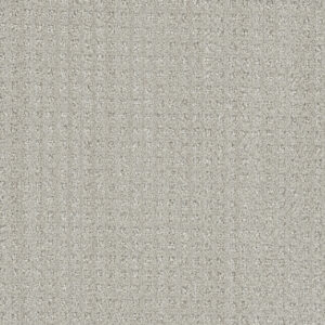 Dreamweaver Carpet DW Select Dublin Tweel Carpet 8631_3915
