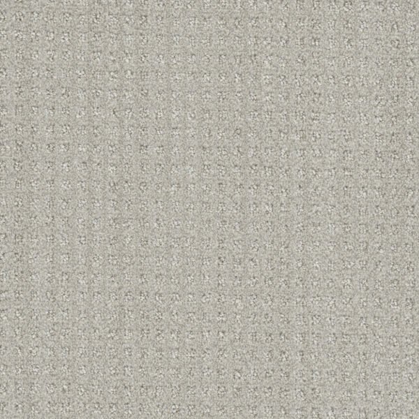Dreamweaver Carpet DW Select Dublin Tweel Carpet 8631_3915