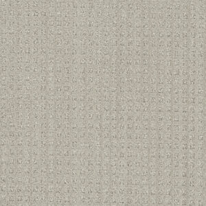 Dreamweaver Carpet DW Select Dublin Stone Spinning Carpet 8631_3927