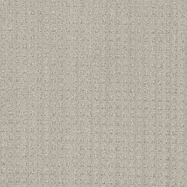 Dreamweaver Carpet DW Select Dublin Stone Spinning Carpet 8631_3927