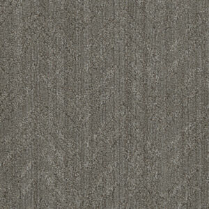 Dreamweaver Carpet DW Select Mesa Roadrunner Carpet 8633_2738