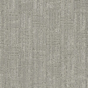 Dreamweaver Carpet DW Select Century In a Lifetime Carpet 8634_2702