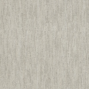 Dreamweaver Carpet DW Select Baja Cabo Carpet 8636_2703