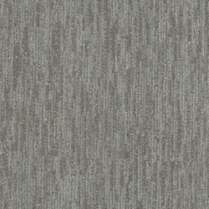 Dreamweaver Carpet DW Select Baja Big Sur Carpet 8636_2719