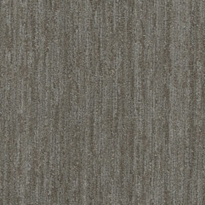 Dreamweaver Carpet DW Select Baja Mesquite Carpet 8636_2738