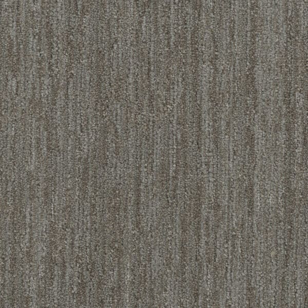 Dreamweaver Carpet DW Select Baja Mesquite Carpet 8636_2738