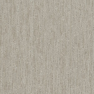 Dreamweaver Carpet DW Select Baja Osprey Carpet 8636_2768