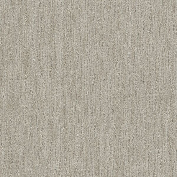 Dreamweaver Carpet DW Select Baja Osprey Carpet 8636_2768