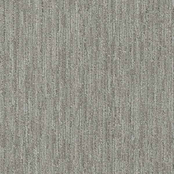Dreamweaver Carpet DW Select Baja Ambrosia Carpet 8636_2771