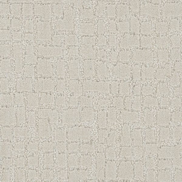 Dreamweaver Carpet DW Select Artisan Blank Canvas Carpet 8641_3925