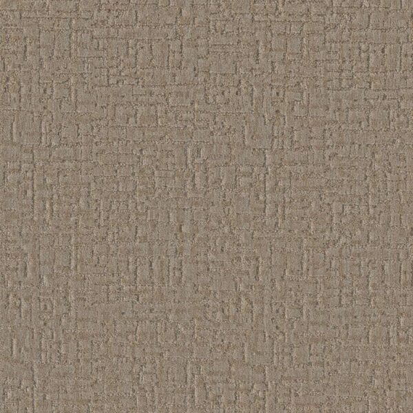 Dreamweaver Carpet River Street Franklin Carpet 8900_8106