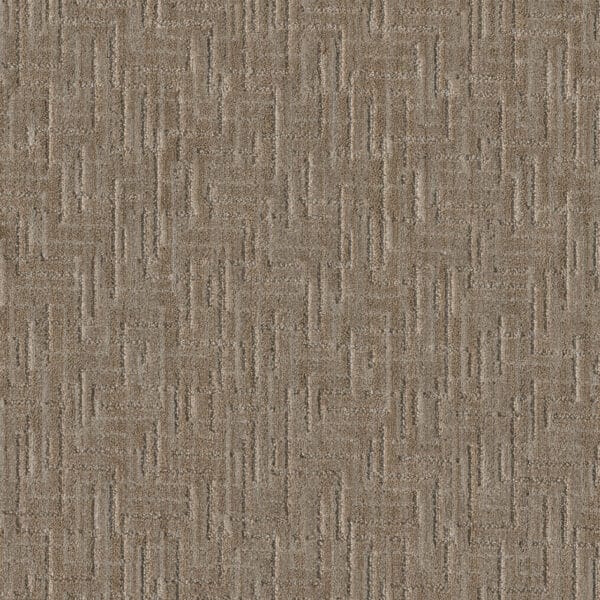 Dreamweaver Carpet Manuscript Franklin Carpet 8905_8106