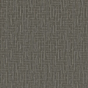Dreamweaver Carpet Manuscript Telfair Carpet 8905_8421