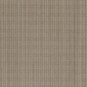 Dreamweaver Carpet Suffolk Franklin Carpet 8910_8106