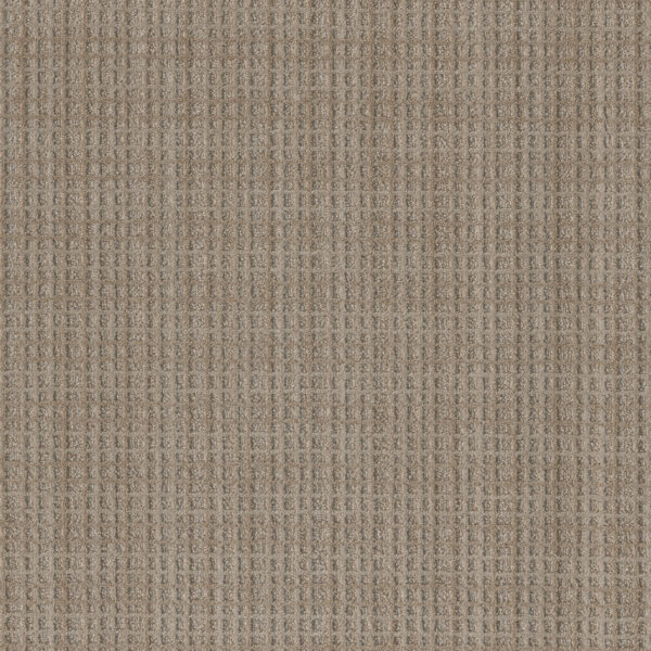 Dreamweaver Carpet Suffolk Franklin Carpet 8910_8106